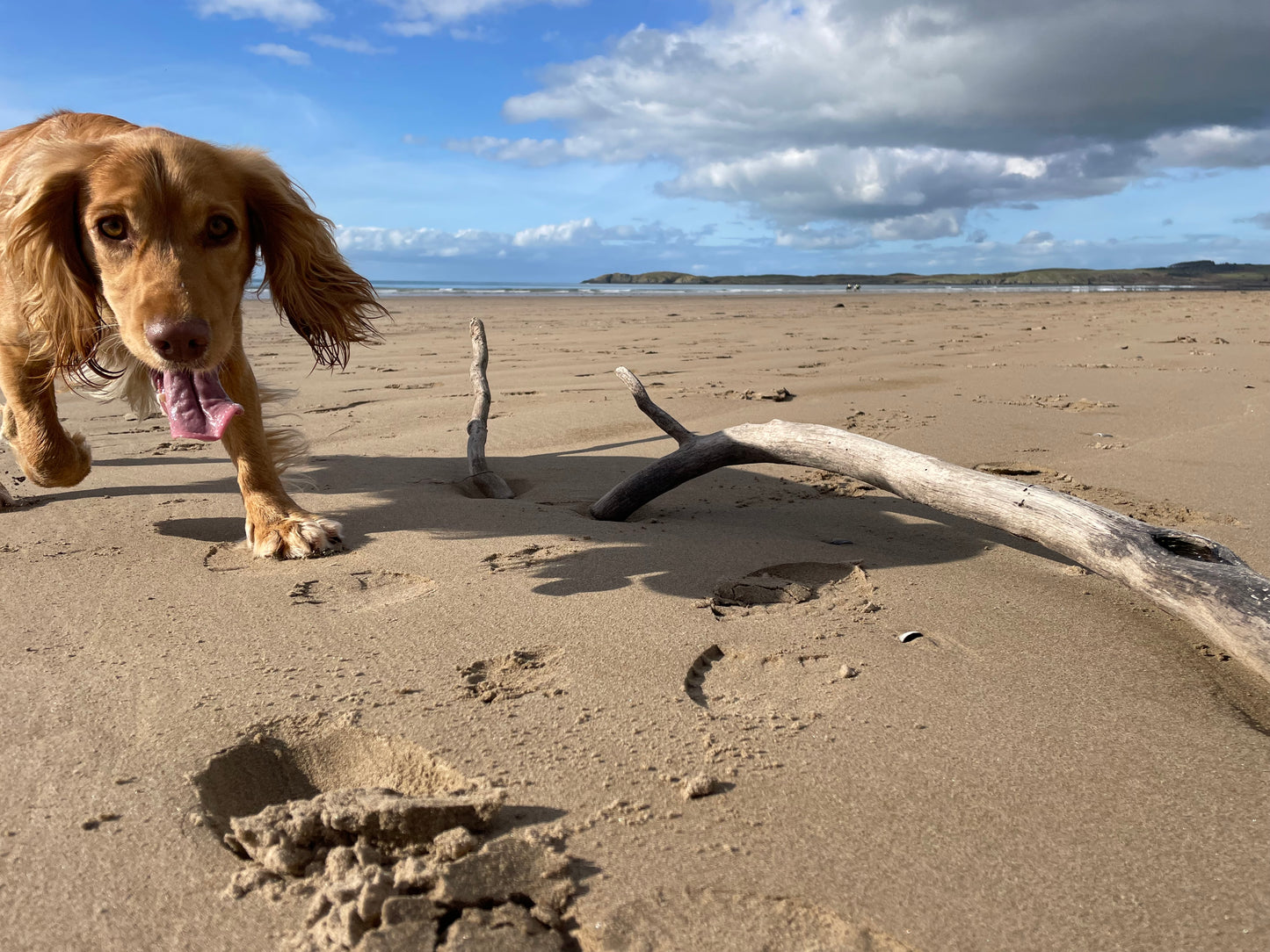 Beach session 1st-2nd Nov 2025
