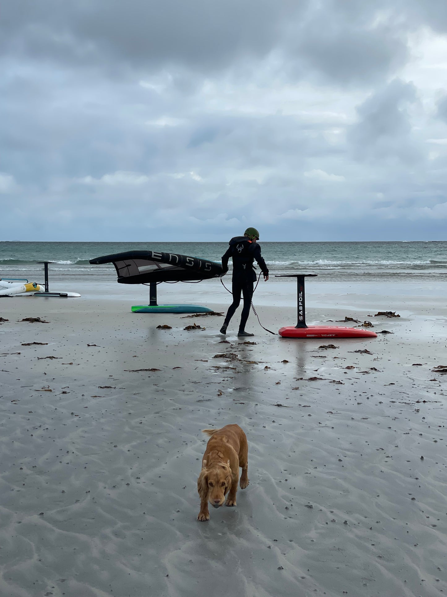 Surf to Summit Kite wing surfing lessons