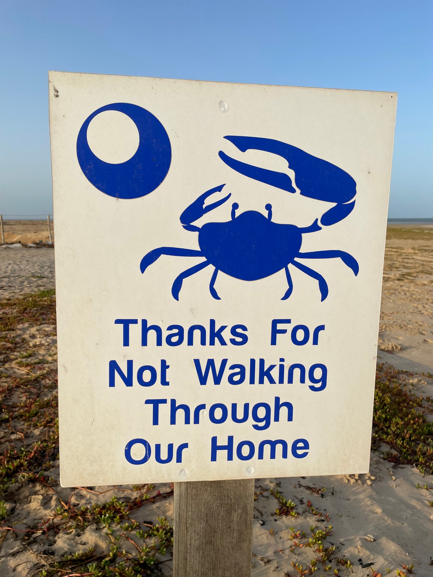 Dakhla Wing Clinic 21st-28th March 2026