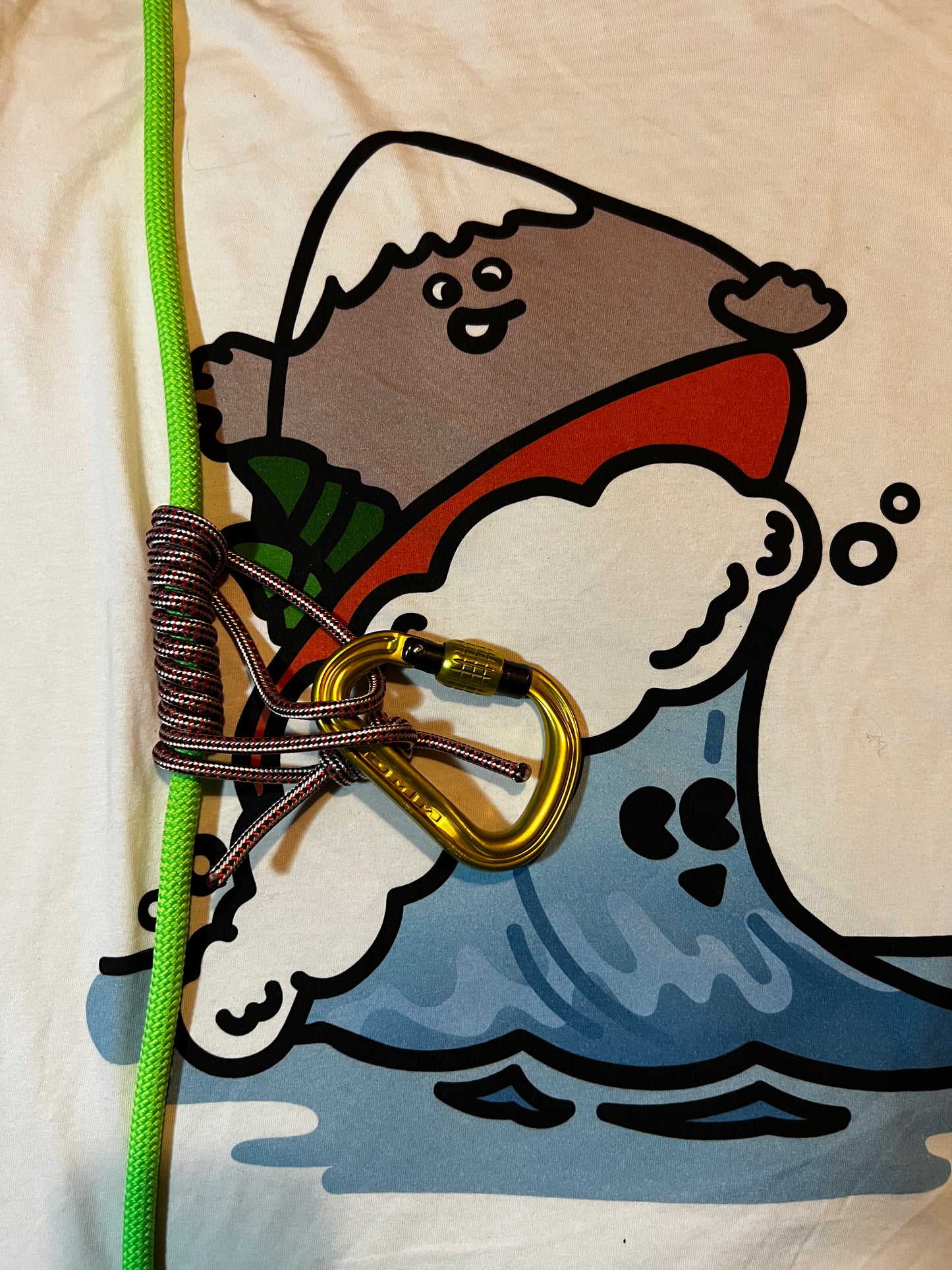 Pair of 5 mm Prusik loops made with DMM cord.