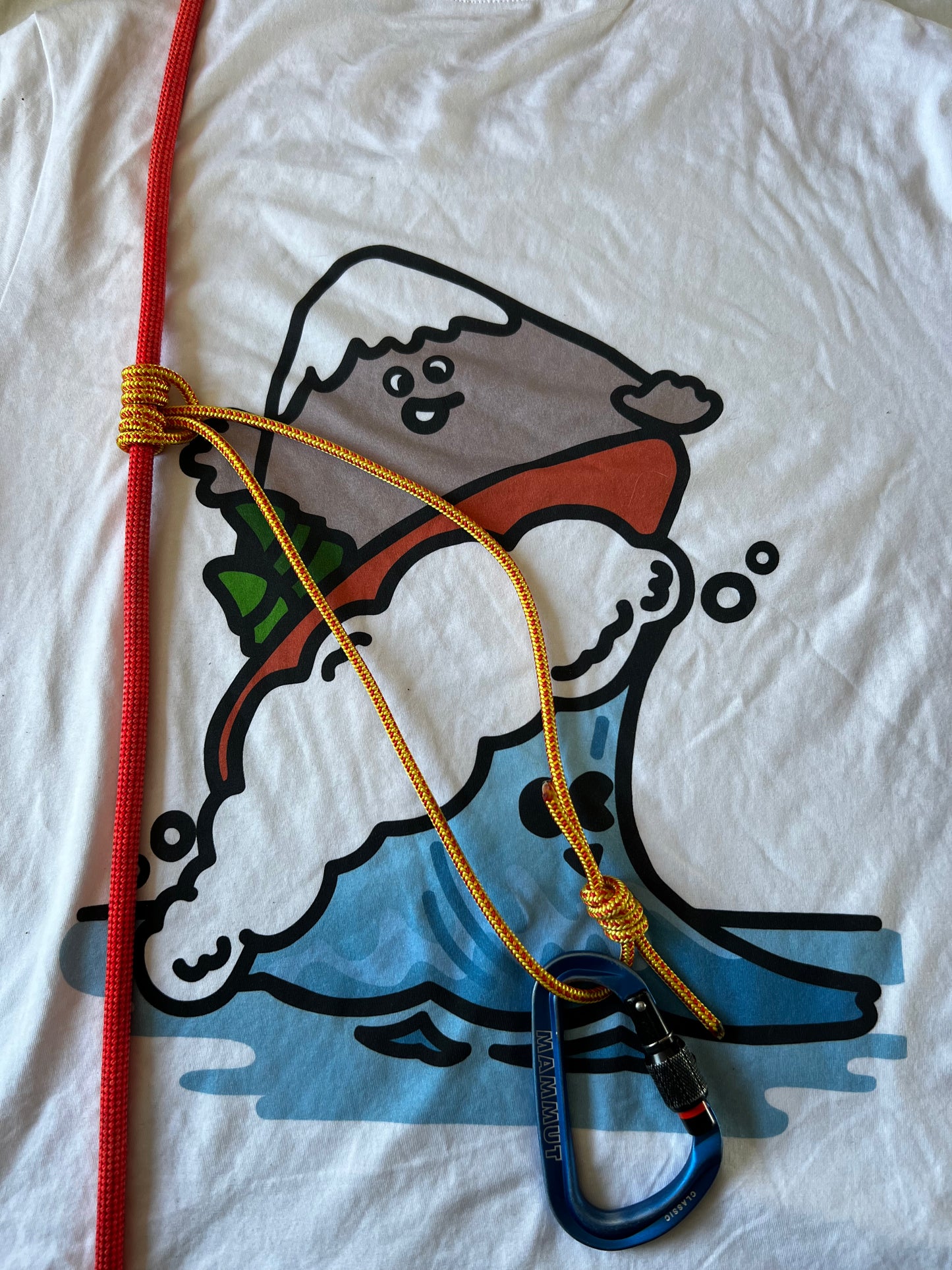 Pair of Prusik loop 5mm Mammut Cord.