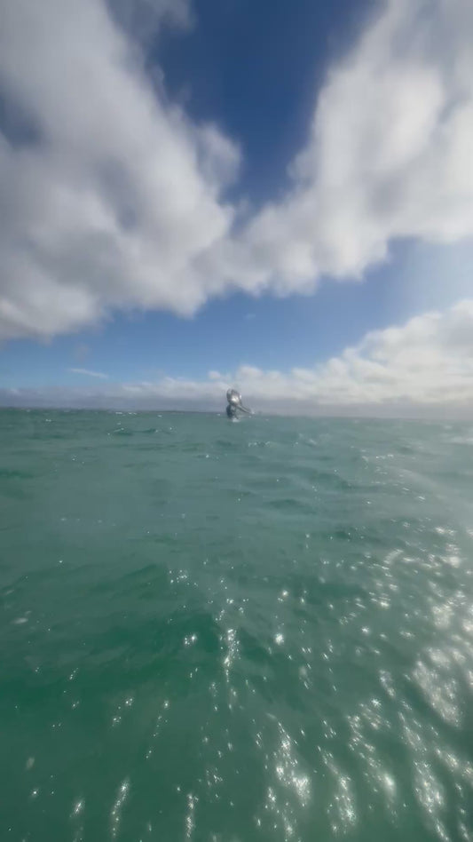 Wing Foiling Advanced Lesson