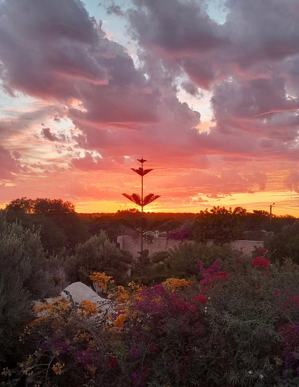 15th-19th September  WEEK 1 – FLOW RETREAT £900 
Morocco Flow Retreat – Yoga & Water Experience

A 5-day retreat focused on movement, recovery, and introduction to water-based activities.