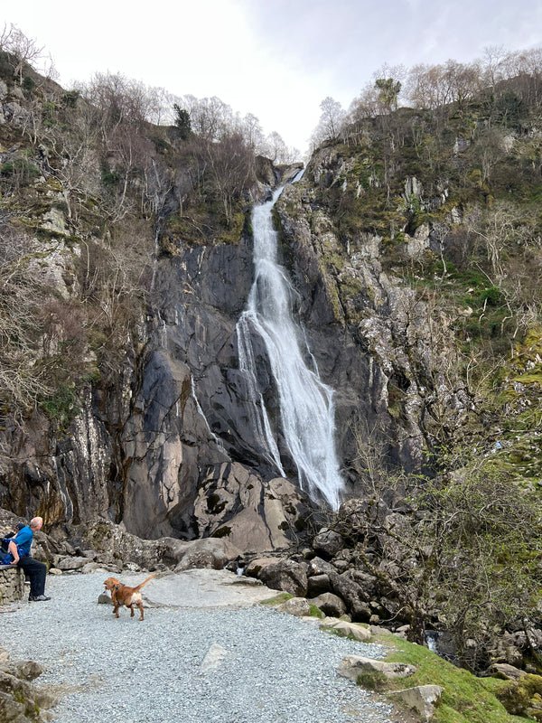 Aber Falls Community Walk