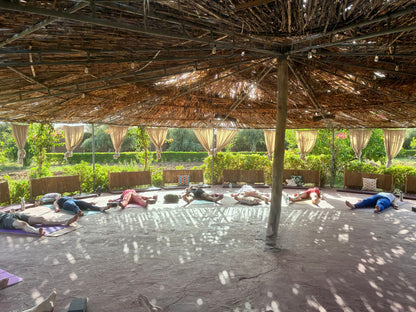 15th-19th September  WEEK 1 – FLOW RETREAT £900 
Morocco Flow Retreat – Yoga & Water Experience

A 5-day retreat focused on movement, recovery, and introduction to water-based activities.